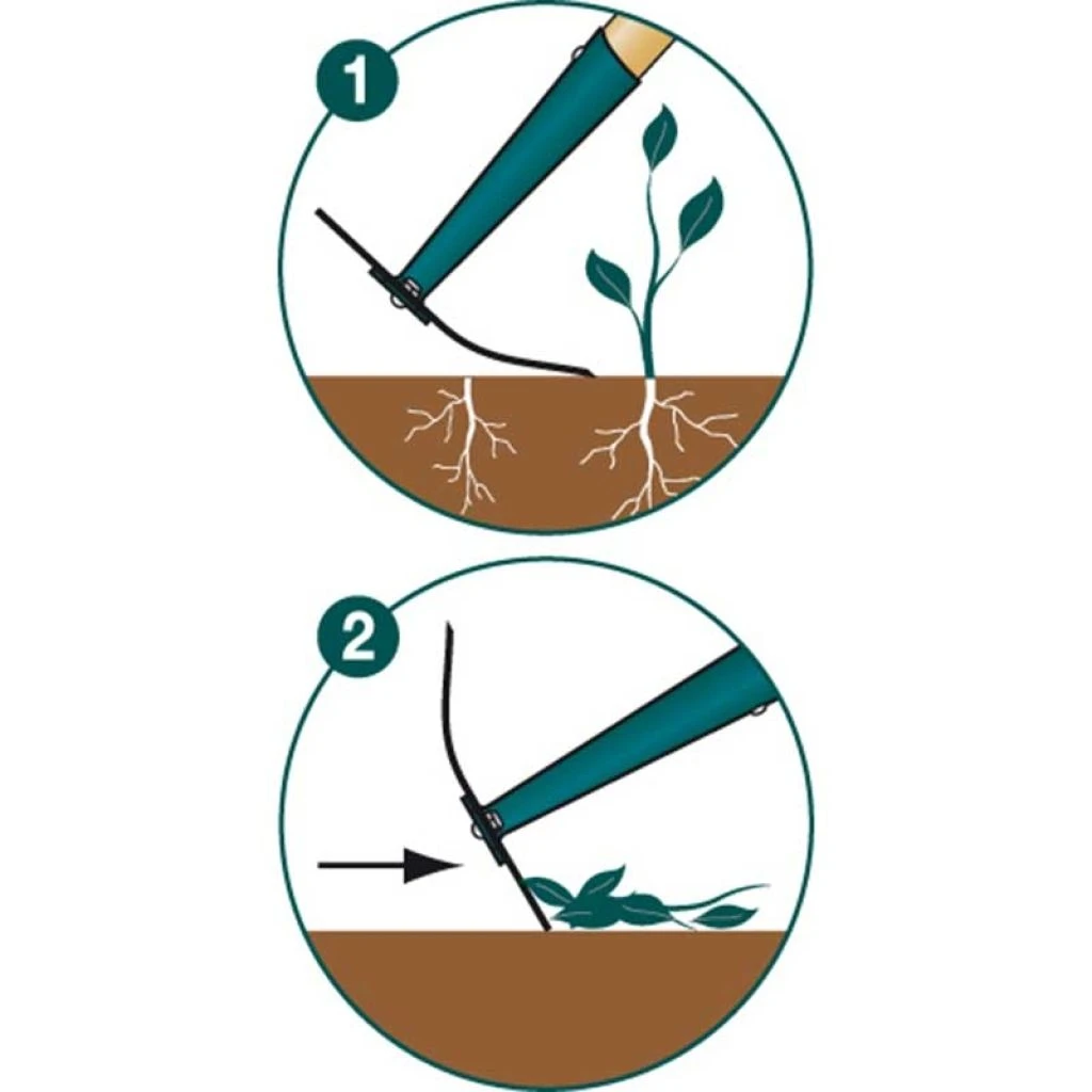 Binette De Jardin Leborgne 16 Cm Naturovert 2 Binette De Jardin Leborgne 16 Cm Naturovert – Image 2