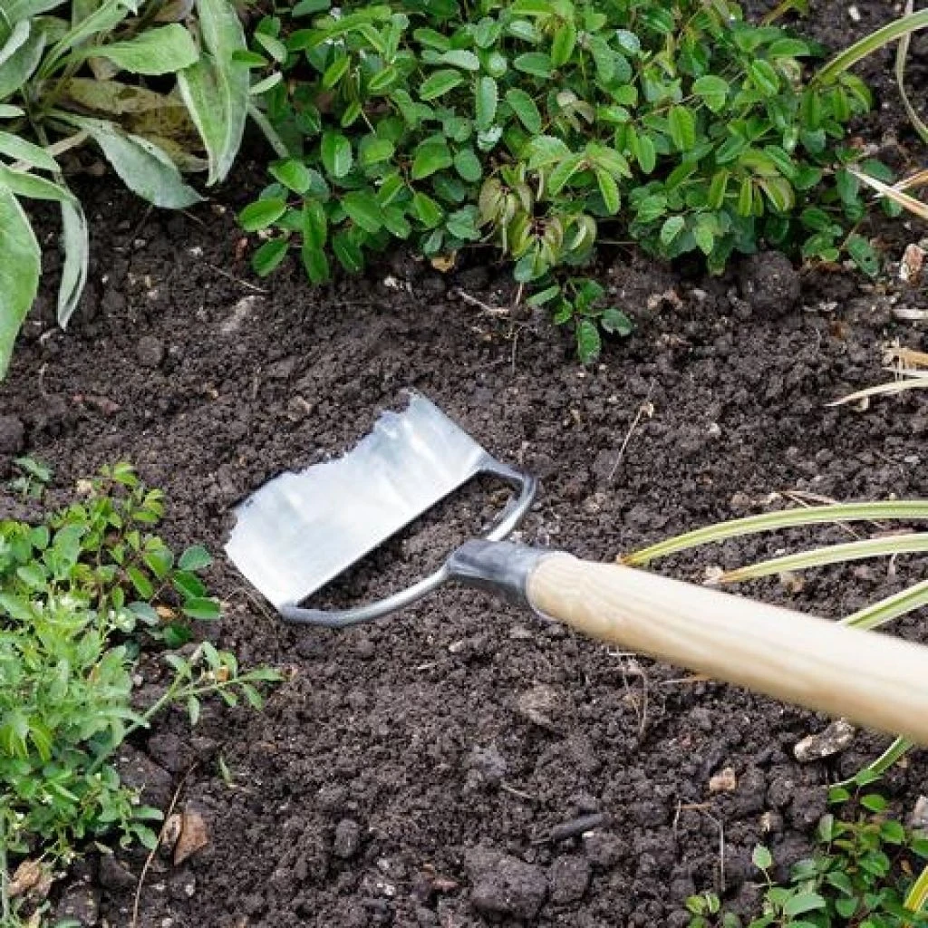 Binette Hollandaise Burgon & Ball - Gamme RHS 3 Binette Hollandaise Burgon & Ball - Gamme RHS – Image 3