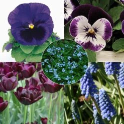 Collection Printemps Bleu Nuit 5 Collection Printemps Bleu Nuit -Promesse De Fleurs Collection Printemps bleu nuit 82586 1