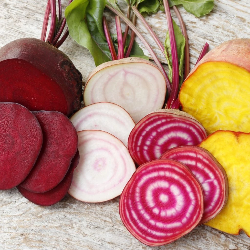 Collection De 4 Betteraves Colorées Bio – Image 3