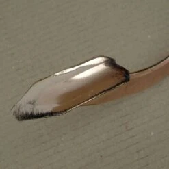 Cultivateur En Cuivre Modèle Pegasus - Gamme PKS Bronze -Promesse De Fleurs Cultivateur en cuivre modele Pegasus Gamme Schauberger 99237 5