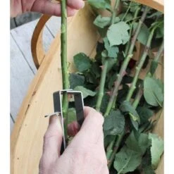 Enlève-épines Pour Rosiers Burgon & Ball -Promesse De Fleurs Enleve epines pour rosiers Burgon et Ball 99341 2