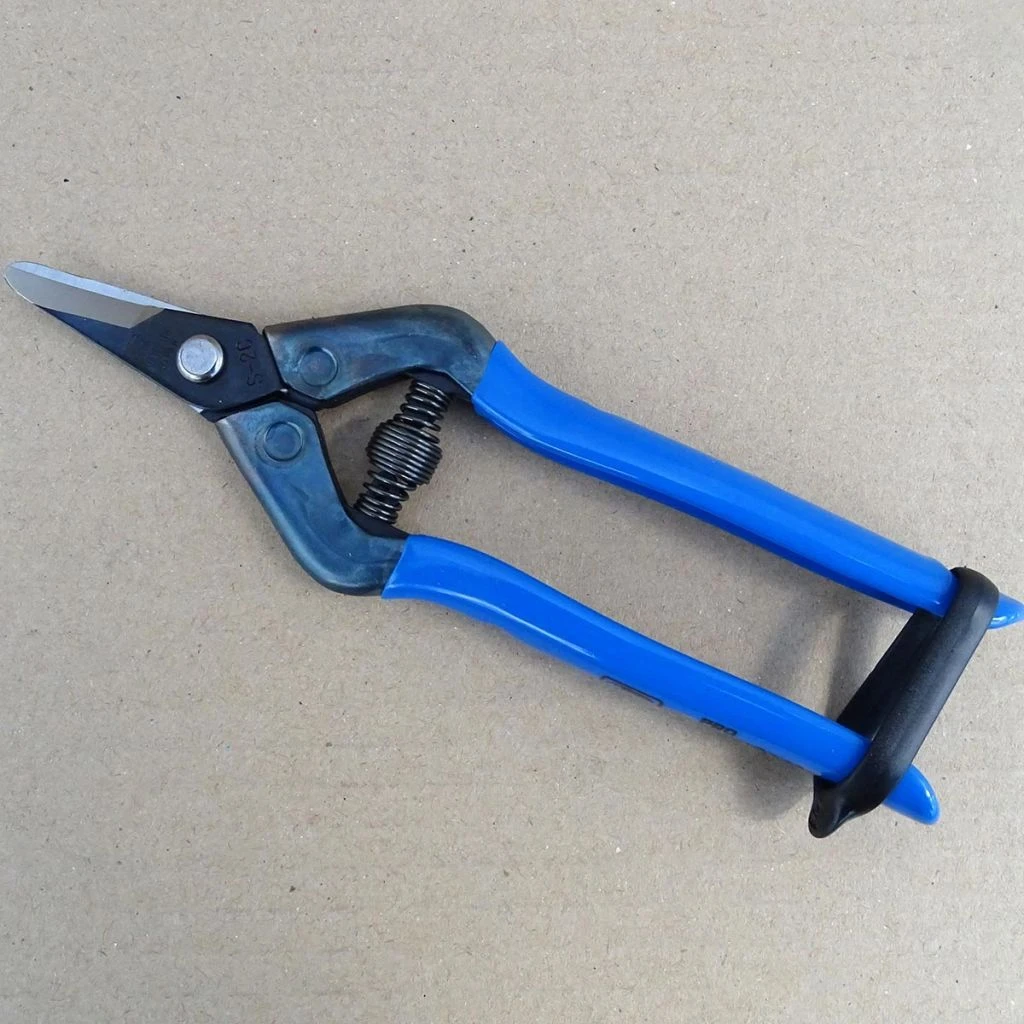 Epinette à Lames Courbes - Bouts Arrondis 1 Epinette à Lames Courbes - Bouts Arrondis