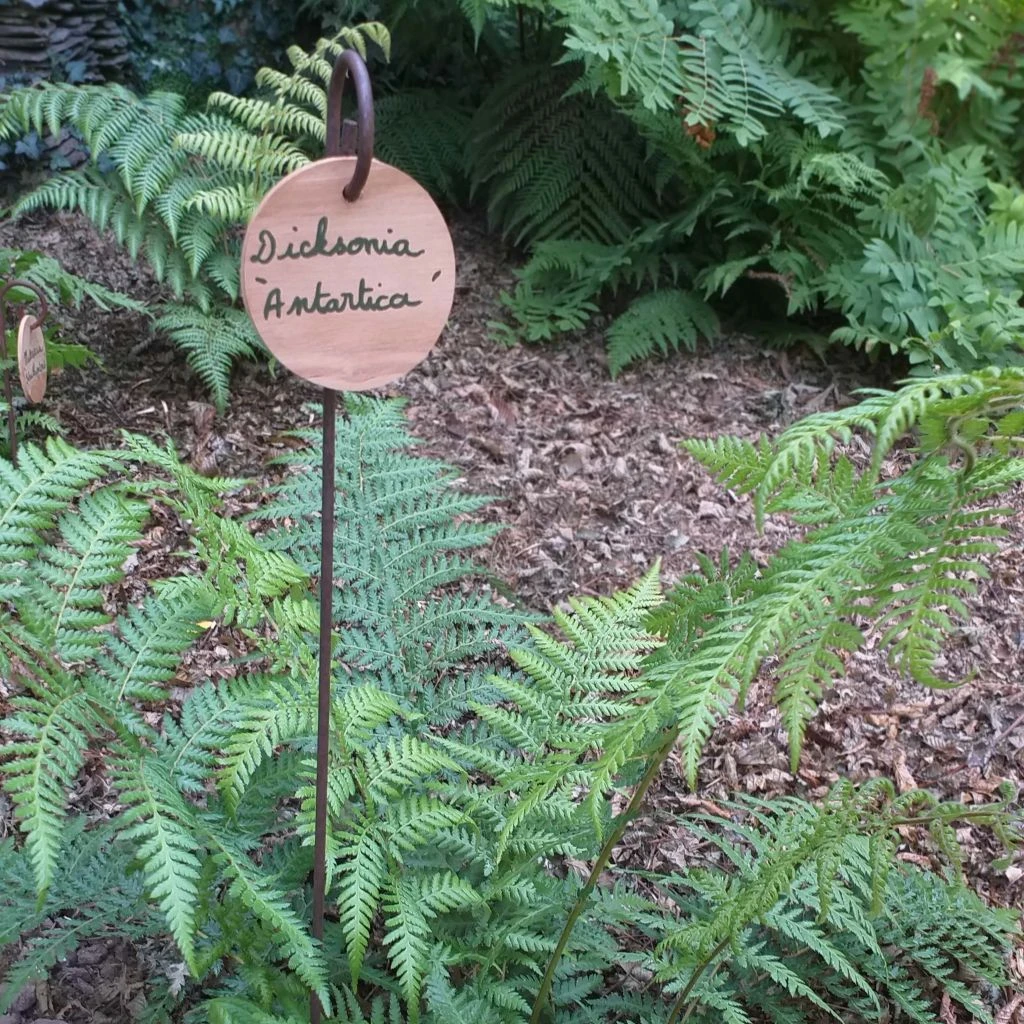 Etiquette à Suspendre Ronde En Châtaignier Ø9cm 2 Etiquette à Suspendre Ronde En Châtaignier Ø9cm – Image 2