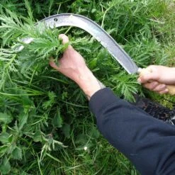 Faucille Manuelle à Broussaille -Promesse De Fleurs Faucille manuelle a broussaille 99277 3