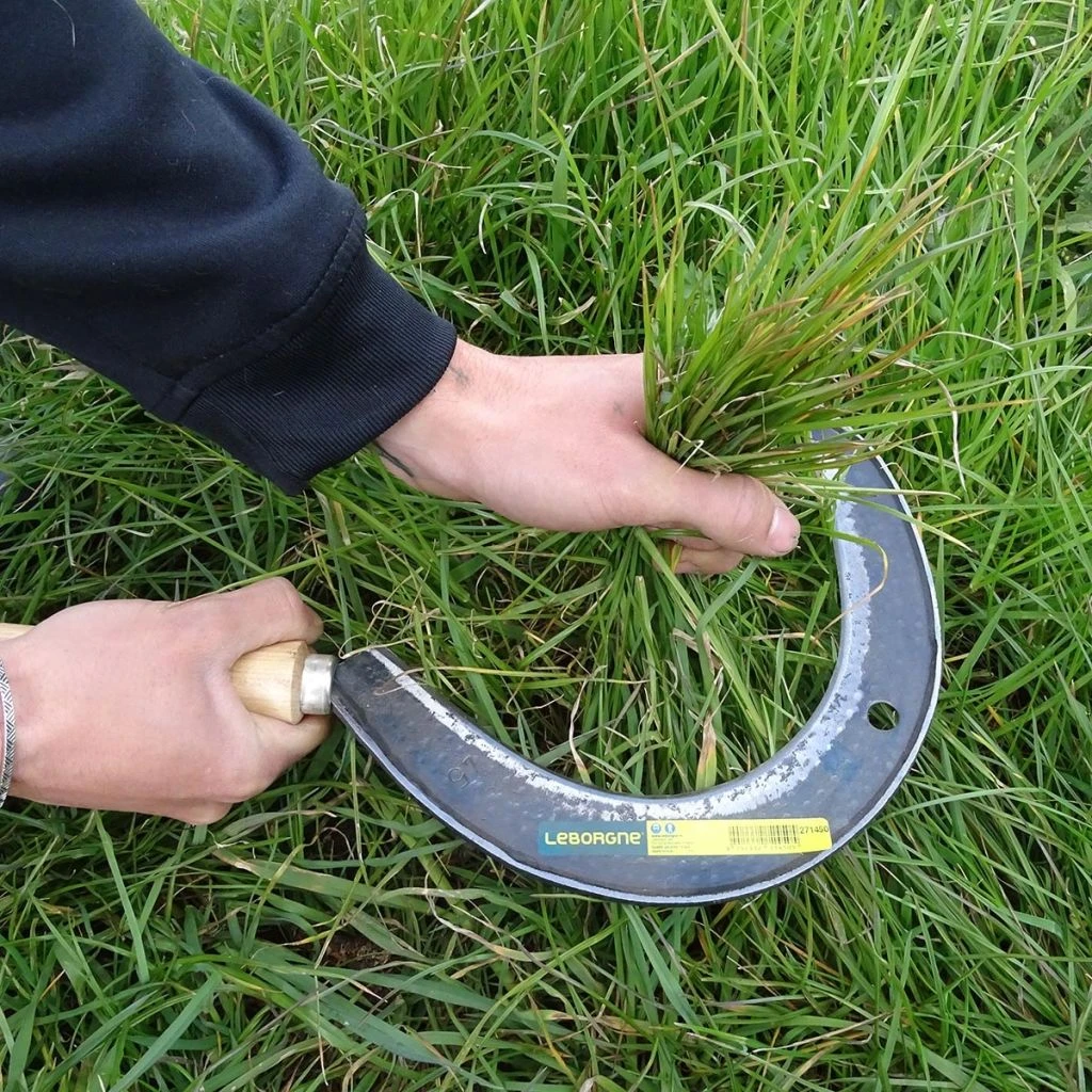 Faucille Manuelle à Herbes 1 Faucille Manuelle à Herbes