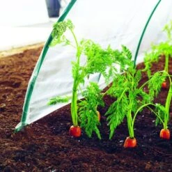 Film De Forçage Spécial Primeurs 2 X 5 M CLIMAFILM 5 Film De Forçage Spécial Primeurs 2 X 5 M CLIMAFILM -Promesse De Fleurs Film de forcage special primeurs 2x5m CLIMAFILM 91199 3