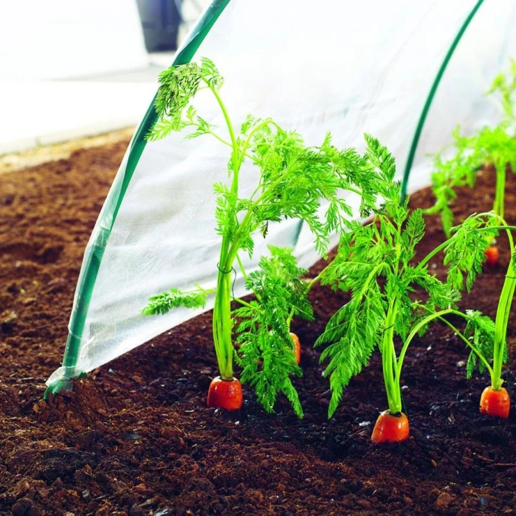 Film De Forçage Spécial Primeurs 2 X 5 M CLIMAFILM 3 Film De Forçage Spécial Primeurs 2 X 5 M CLIMAFILM – Image 3