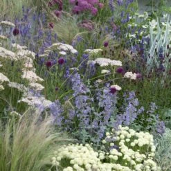 Jardin Naturaliste Sec Pour 2m²