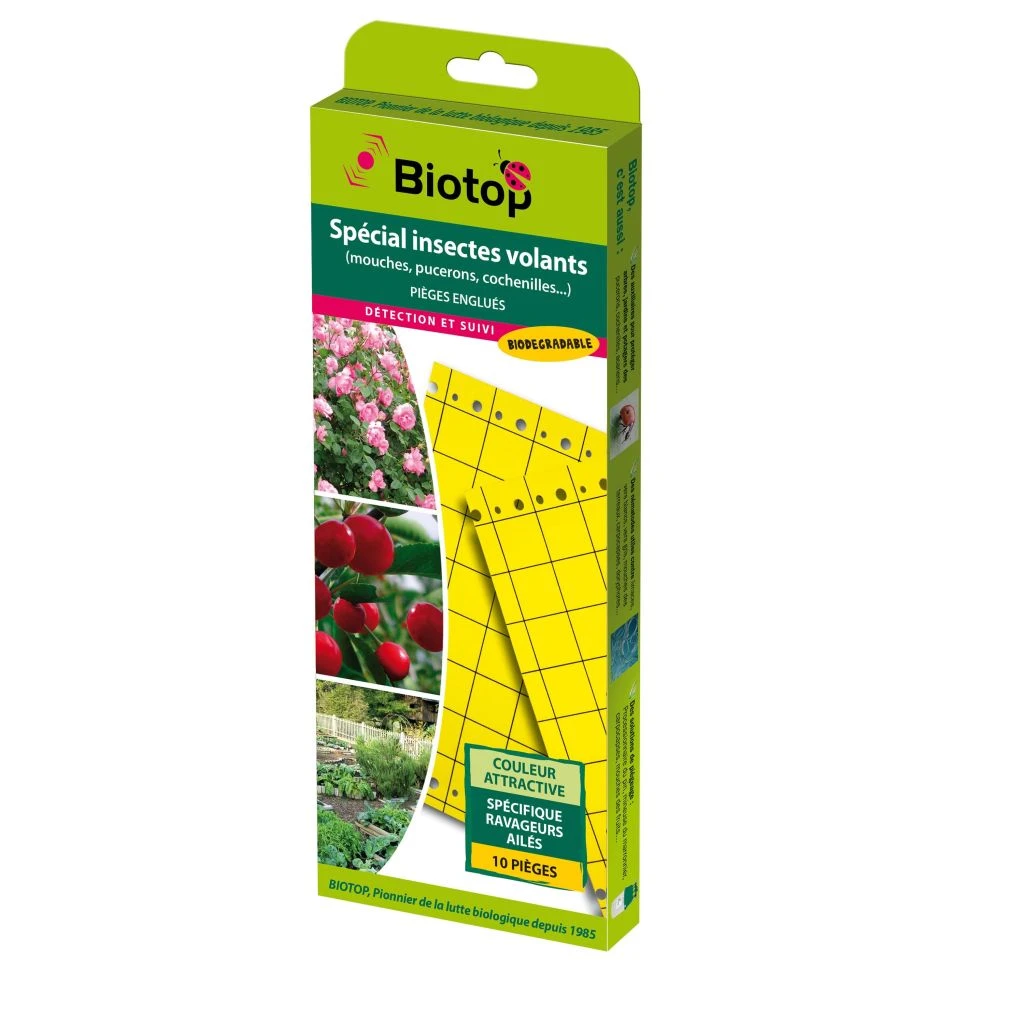 Piège Chromatique (plaques Engluées) Jaune 25 X 10 Cm - Boite De 10 1 Piège Chromatique (plaques Engluées) Jaune 25 X 10 Cm - Boite De 10