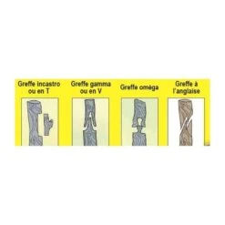 Pince à Greffer Italienne A45 -Promesse De Fleurs Pince a greffer Italienne A45 IF 17049 2