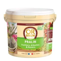 Pralin Or Brun En Seau De 2 Kg