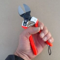 Sécateur Lady II - Double Lame -Promesse De Fleurs Secateur Lady II double lame copyright 17045 3