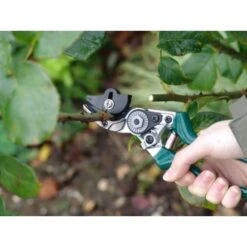 Sécateur à Rosiers Burgon & Ball - Gamme RHS 5 Sécateur à Rosiers Burgon & Ball - Gamme RHS -Promesse De Fleurs Secateur a rosiers Burgon et Ball Gamme RHS 99340 3