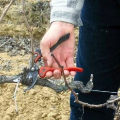 Sécateur Professionnel Ergonomique Taille S Tête N°2 Bahco PX-S2 -Promesse De Fleurs Secateur professionnel ergonomique PX S2 988371 2