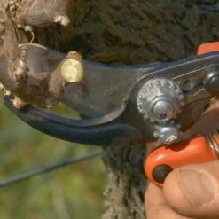 Sécateur Professionnel Ergonomique Taille S Tête N°2 Bahco PX-S2 -Promesse De Fleurs Secateur professionnel ergonomique PX S2 988371 4