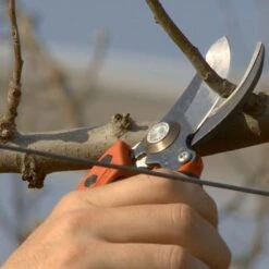 Sécateur Professionnel Ergonomique Taille S Tête N°2 Bahco PX-S2 -Promesse De Fleurs Secateur professionnel ergonomique PX S2 988371 5