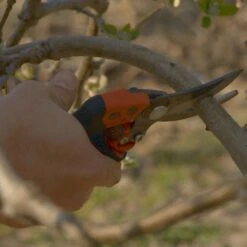 Sécateur Professionnel Ergonomique à Poignée Rotative Taille S Tête N°2 Bahco PXR-S2 -Promesse De Fleurs Secateur professionnel ergonomique a poignee rotative PXR S2 988381 4