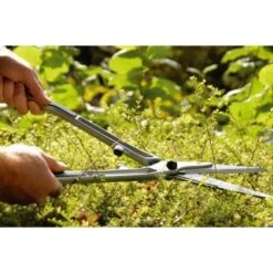 Taille-haie Pour Buis Burgon & Ball - Gamme RHS -Promesse De Fleurs Taille haie pour buis Burgon et Ball Gamme RHS 99351 3