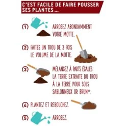 Terre Pour Sol Sablonneux Or Brun Sac De 20 L -Promesse De Fleurs Terre pour sol sablonneux Or Brun sac de 40 L IF 17064 3