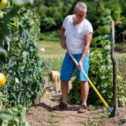 Binette Japonaise Leborgne NaturOvert -Promesse De Fleurs binette japonaise naturovert 07t1