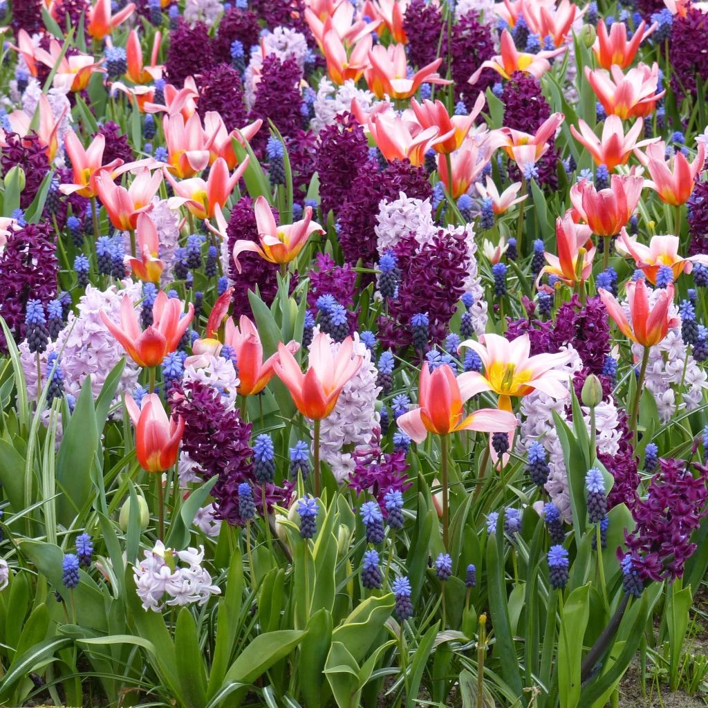 Collection Balade Romantique 1 Collection Balade Romantique