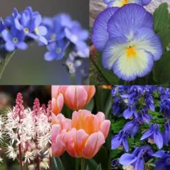 Collection Printemps Pastel