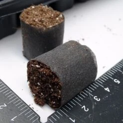 Kit Plateau Et Mottes Fertiss 3 X 3 Cm De Fertil : Plateau De 104 Mottes -Promesse De Fleurs plateau de 104 mottes Fertiss 3x3cm pour bouturage et semis 912500 2