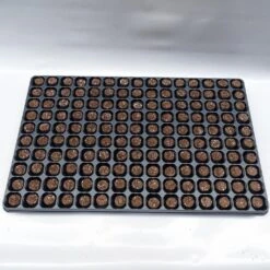 Kit Plateau Et Mottes Fertiss 2 X 4 Cm De Fertil : Plateau De 150 Mottes