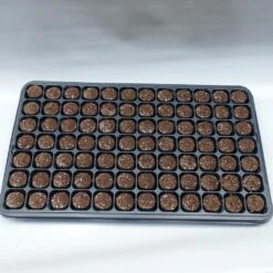 Kit Plateau Et Mottes Fertiss 3.2 X 3.5 Cm De Fertil : Plateau De 84 Mottes