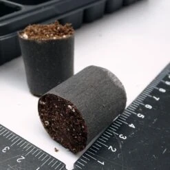 Kit Plateau Et Mottes Fertiss 3.2 X 3.5 Cm De Fertil : Plateau De 84 Mottes -Promesse De Fleurs plateau de 84 mottes Fertiss 3cm2x3cm5 pour bouturage et semis 912450 2