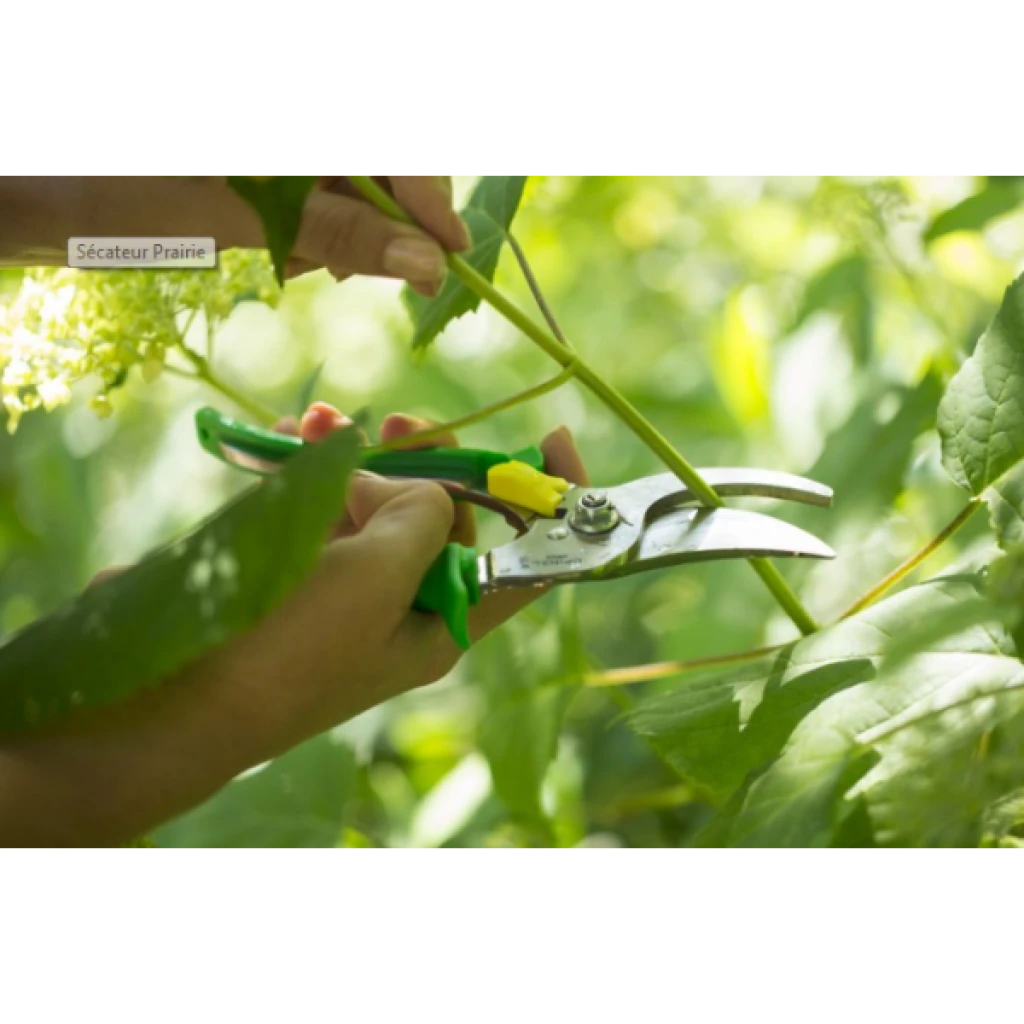 Sécateur Prairie Marque Opinel 3 Sécateur Prairie Marque Opinel – Image 3